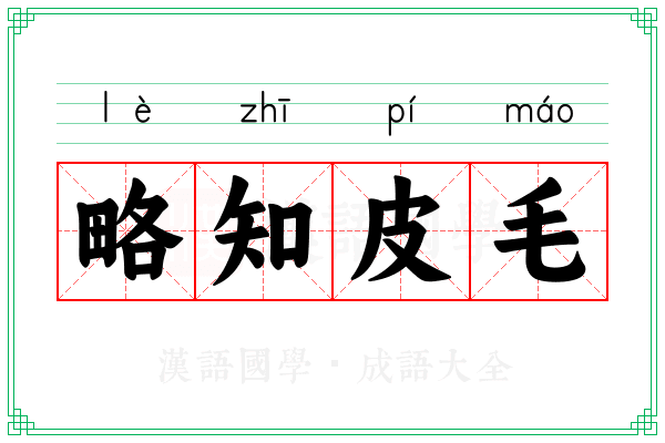 略知皮毛