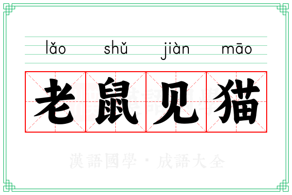 老鼠见猫