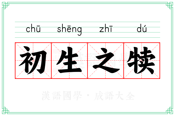 初生之犊