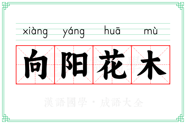 向阳花木