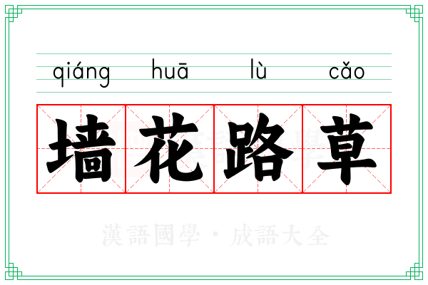 墙花路草