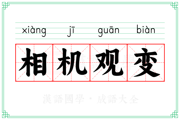 相机观变