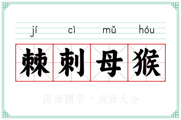 棘刺母猴
