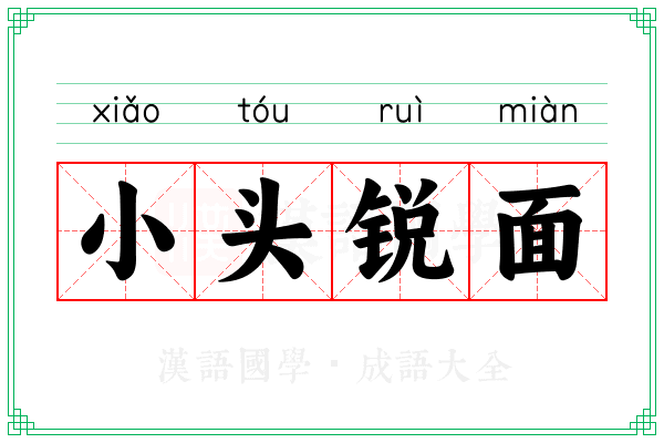 小头锐面