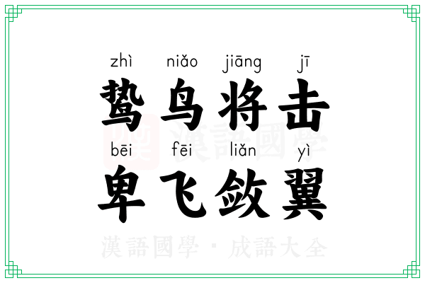 鸷鸟将击，卑飞敛翼