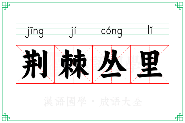 荆棘丛里