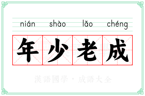 年少老成