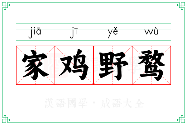 家鸡野鹜