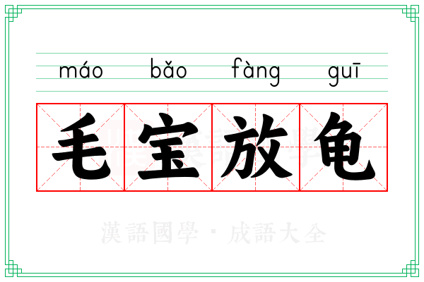 毛宝放龟