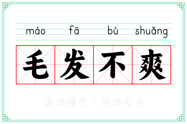 毛发不爽
