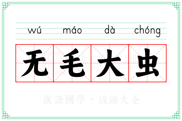 无毛大虫