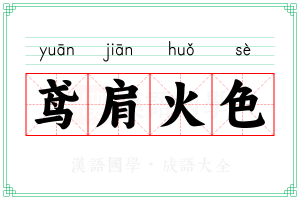 鸢肩火色