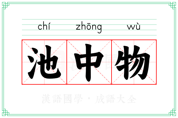 池中物