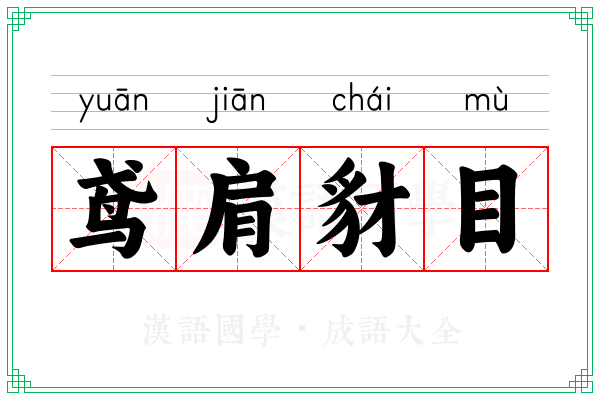 鸢肩豺目