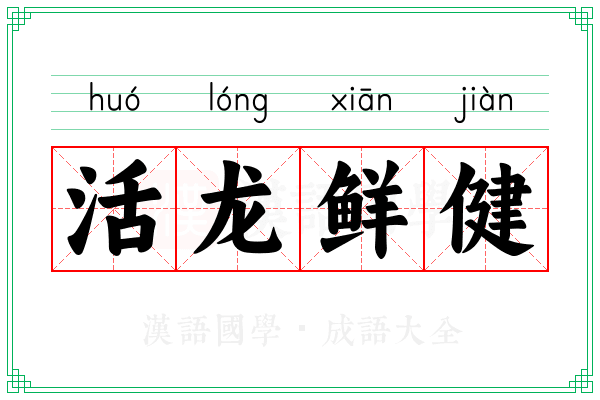 活龙鲜健