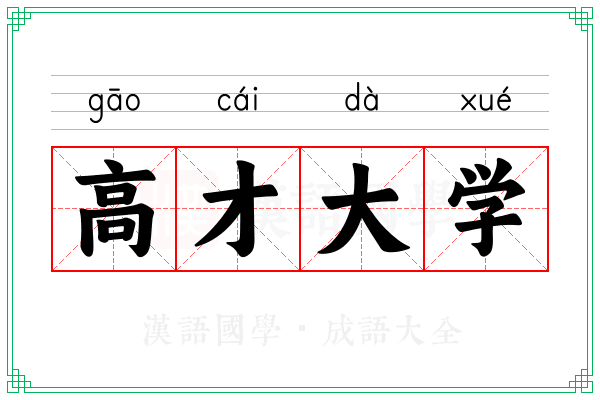 高才大学