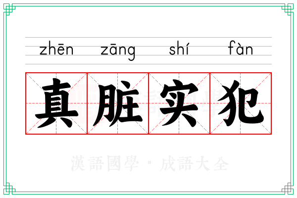 真脏实犯