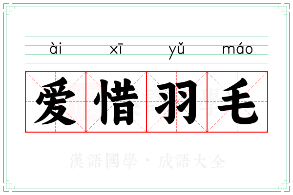 爱惜羽毛