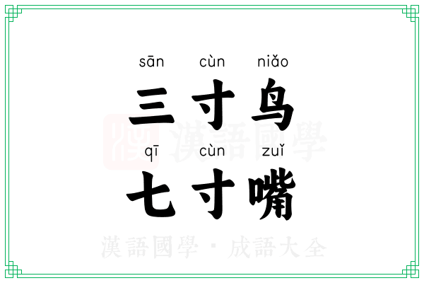 三寸鸟，七寸嘴