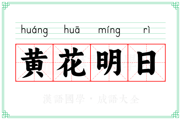 黄花明日
