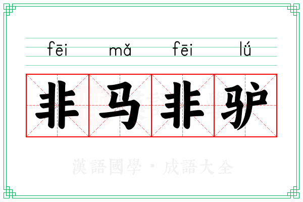 非马非驴