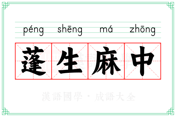 蓬生麻中