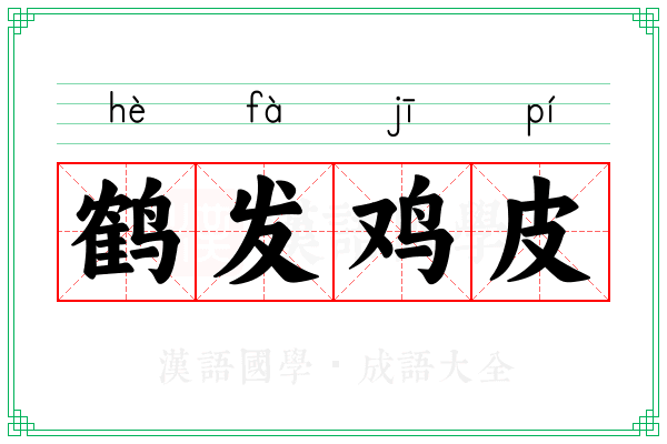鹤发鸡皮