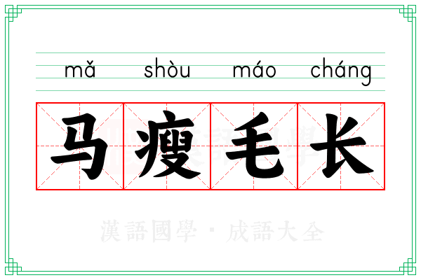 马瘦毛长