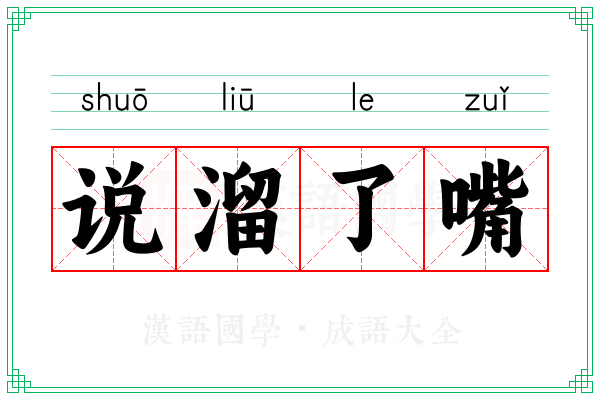 说溜了嘴