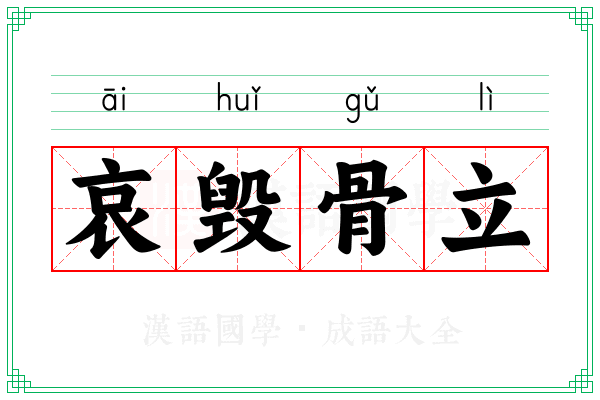 哀毁骨立