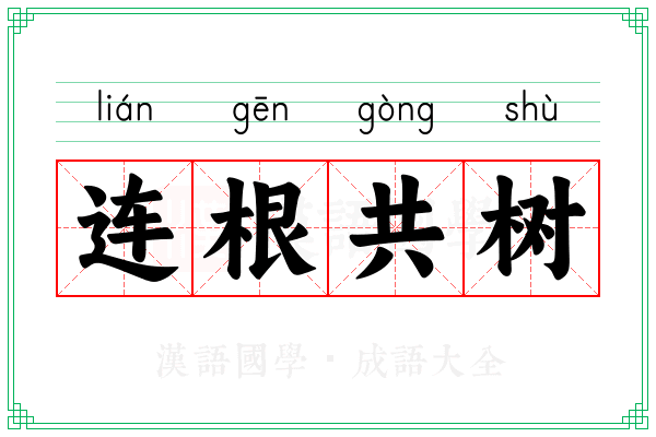 连根共树