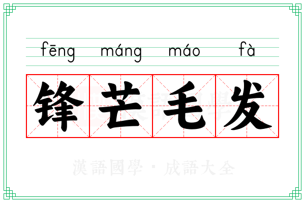 锋芒毛发