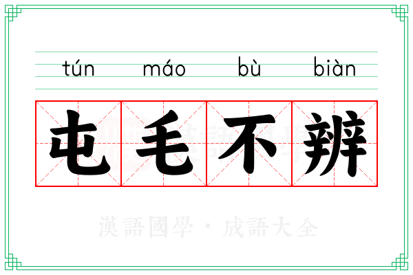 屯毛不辨
