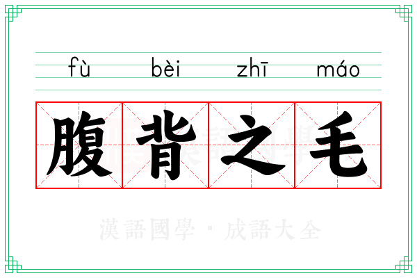 腹背之毛