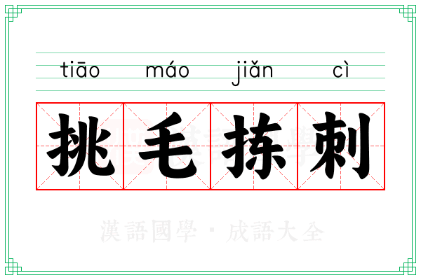 挑毛拣刺
