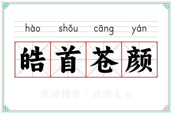 皓首苍颜