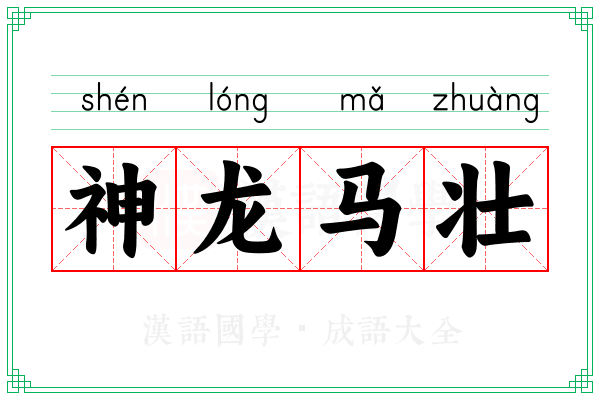 神龙马壮