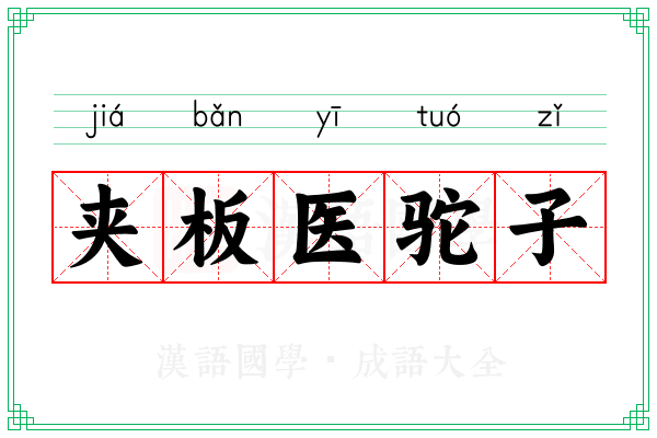 夹板医驼子