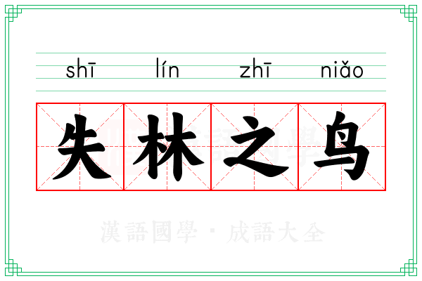 失林之鸟