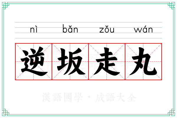 逆坂走丸