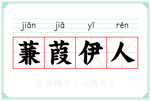 蒹葭伊人