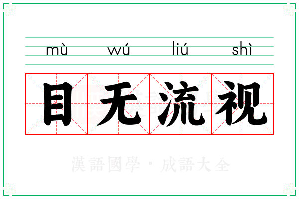 目无流视