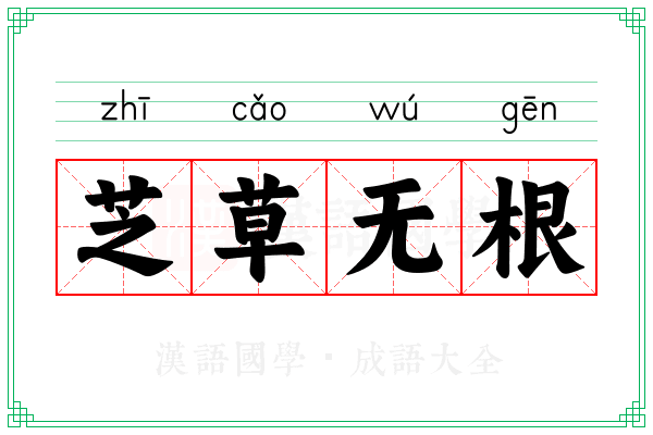 芝草无根