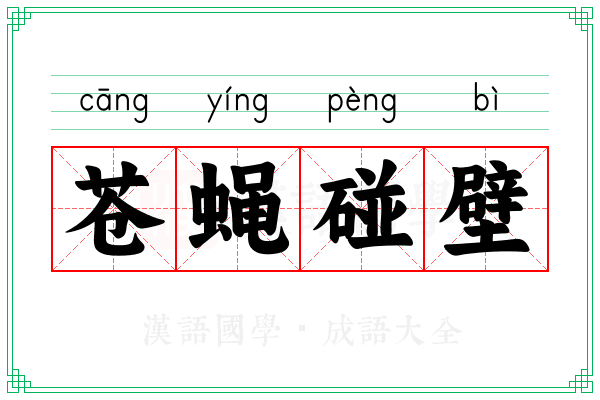 苍蝇碰壁