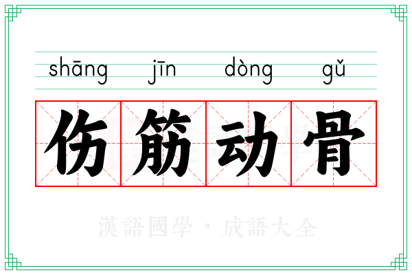 伤筋动骨