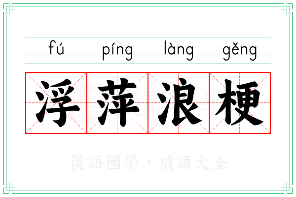 浮萍浪梗