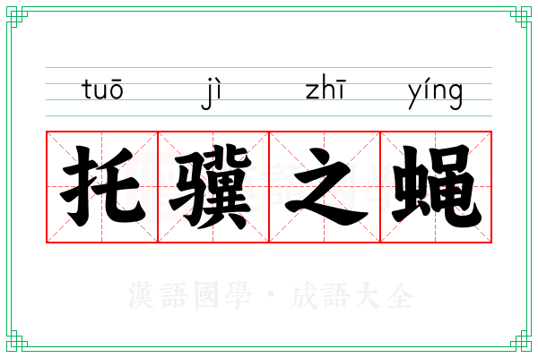 托骥之蝇