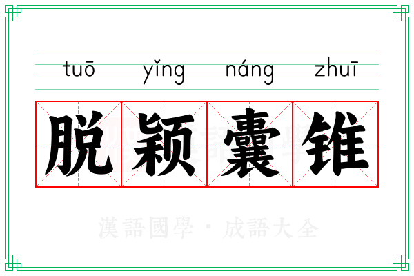 脱颖囊锥