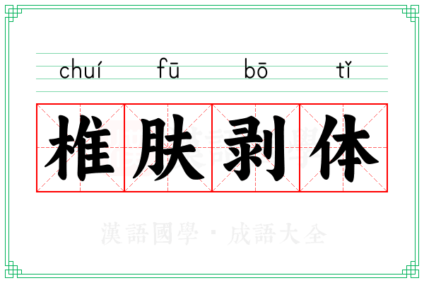 椎肤剥体