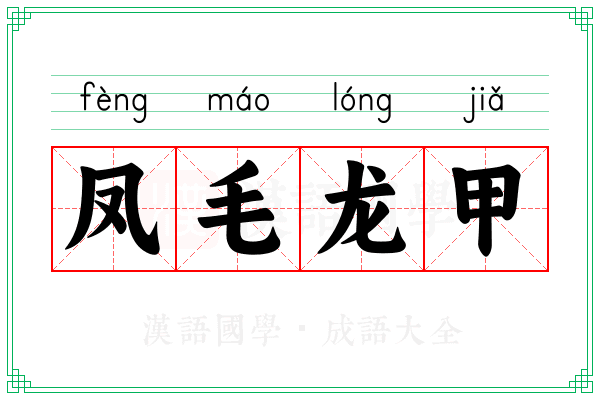 凤毛龙甲